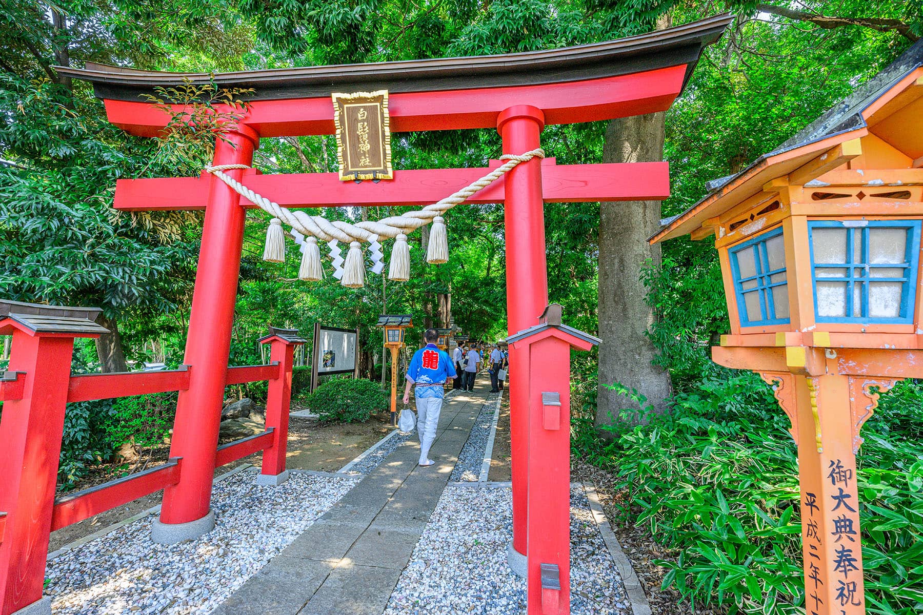 脚折雨乞（すねおりあまごい）【白鬚神社・雷電池児童公園｜鶴ヶ島市】 | フォトさいたま