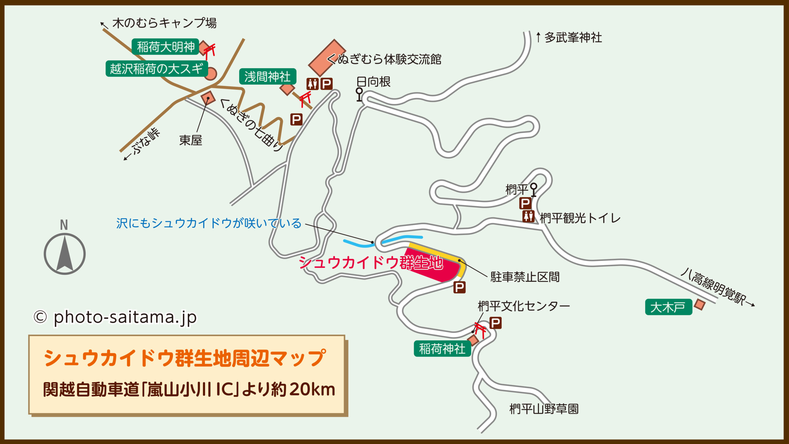 シュウカイドウ（秋海棠）【ときがわ町 椚平（くぬぎだいら）周辺｜比企郡ときがわ町】 | フォトさいたま