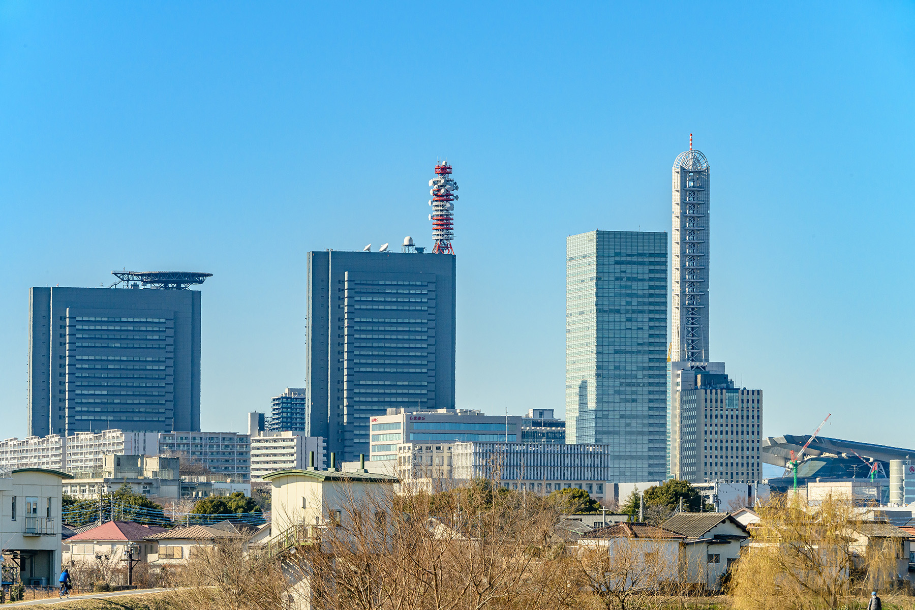 けやきひろばイルミネーション 【さいたま市中央区】| フォトさいたま